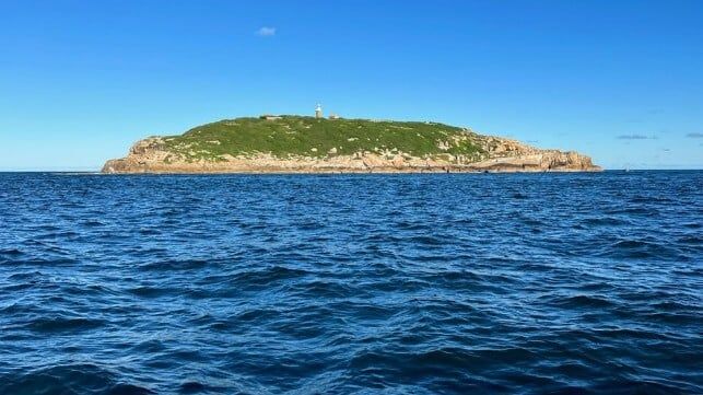 Australia Doubles Feasibility Licenses to 12 for Victorias Offshore Wind