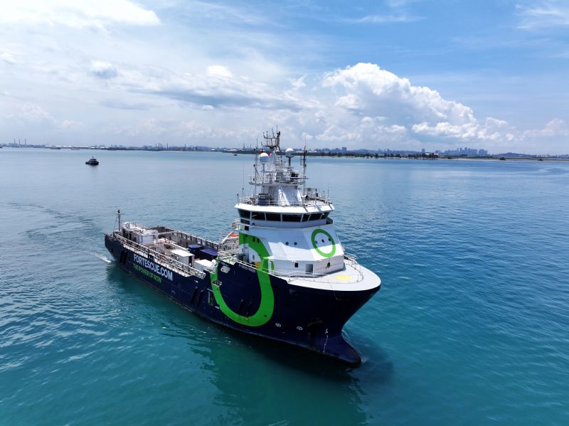 Fortescue Founder Calls on Saudis to Support IMO Carbon Plan