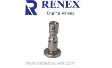 Renex Valves