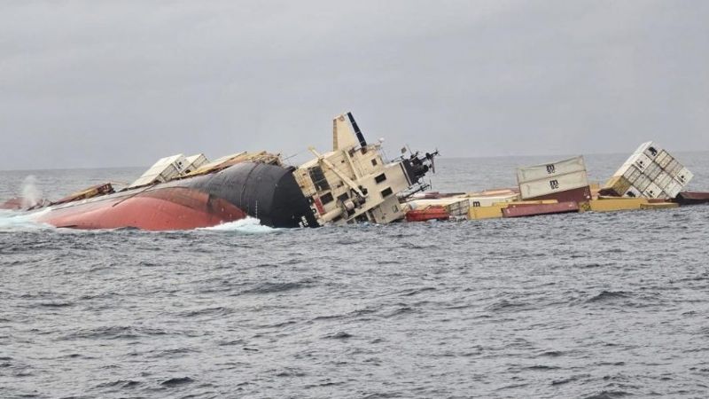 MSC Sues to Limit Liability to $14 Million for Loss of MSC Elsa 3 off India