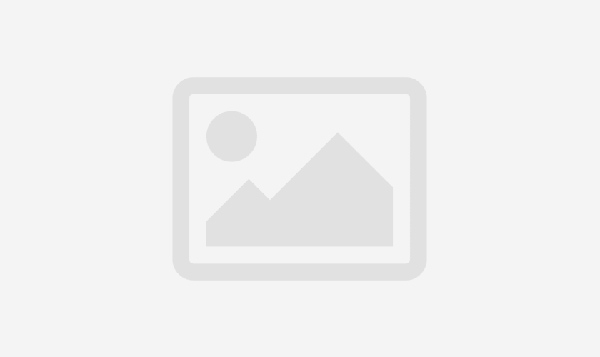 Insurer Covers Costs When Port Agent Fails to Get a Pilot for a Ship