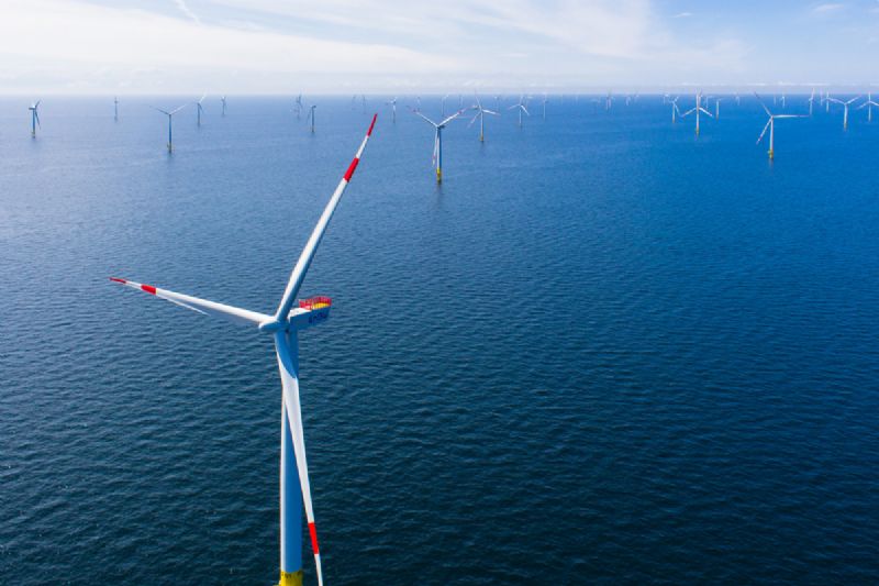 RWE Green Lights 1.6 GW Wind Farm for Germanys North Sea