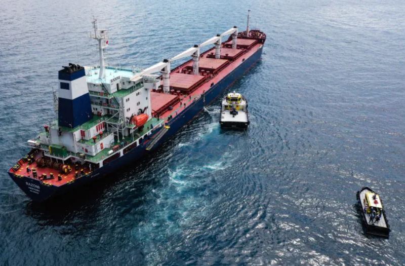 Success of Ukraine's Black Sea Corridor Puts Danube Back in Second Place