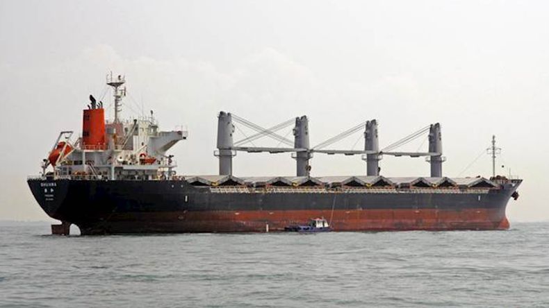 Ukraine Opens Bidding Seeking Manager for Seized Russian Bulker